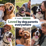 Kriath dog parents gallery