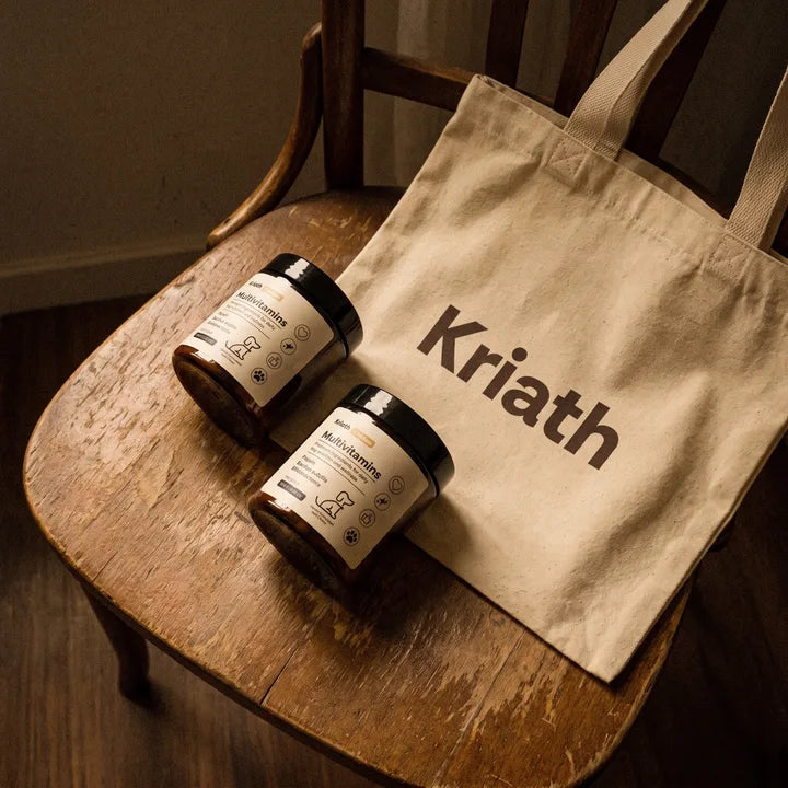 Illustrative Kriath and dog lifestyle image